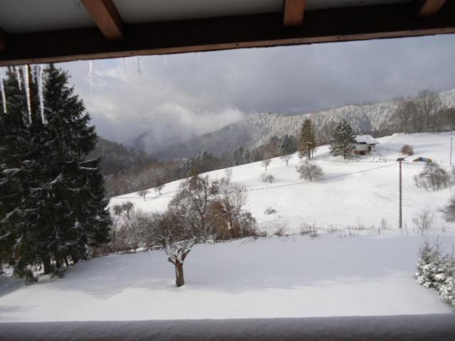 Chalet Contemporain Plein Nature Altenbach Εξωτερικό φωτογραφία